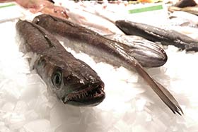 日產(chǎn)1.5噸片冰機（下出冰），人人樂超市連鎖超市保鮮