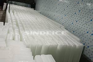 廣東某制冰廠(chǎng)  30噸塊冰機(jī) 